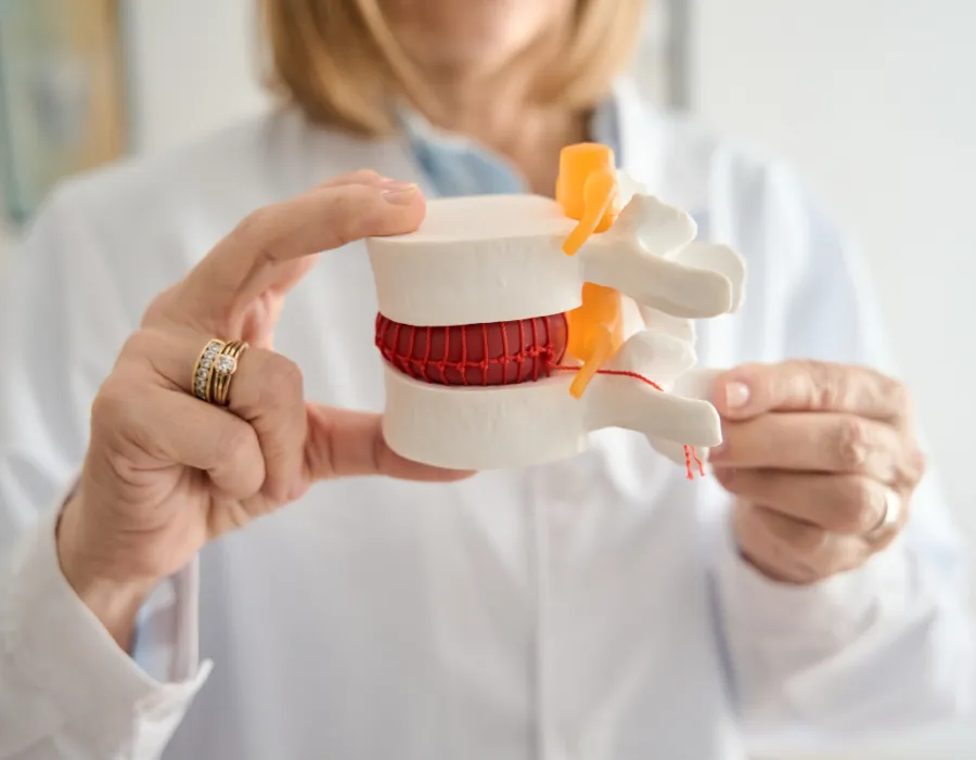 Clinician holding a lumbar spine model with a highlighted spinal disc, illustrating spine and disc conditions